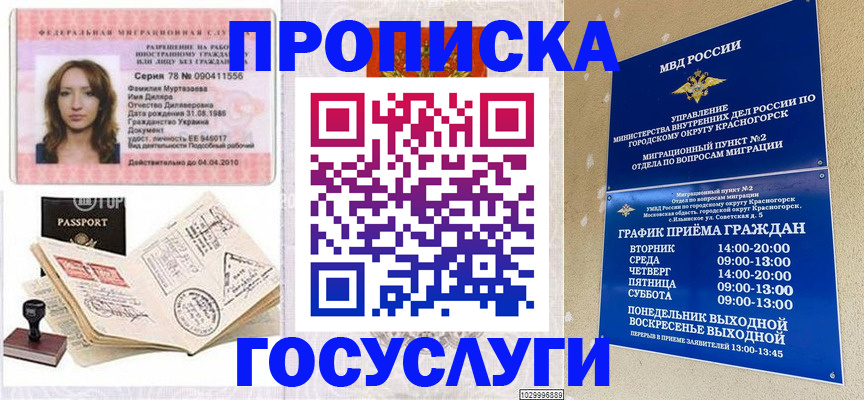 прописка 2025 в Калининграде